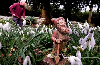 World's oldest garden gnome-Lamport Hall.